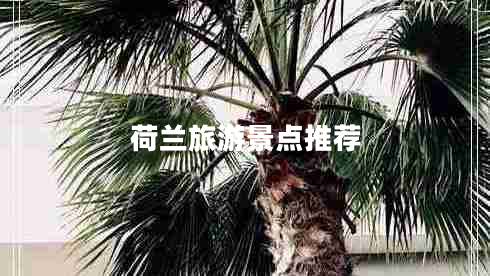 荷蘭旅游景點推薦