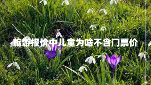 旅游報(bào)價(jià)中兒童為啥不含門(mén)票價(jià)