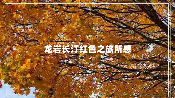 龍巖長汀紅色之旅所感
