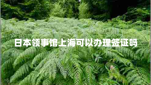 日本領(lǐng)事館上?？梢赞k理簽證嗎
