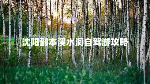 沈陽到本溪水洞自駕游攻略