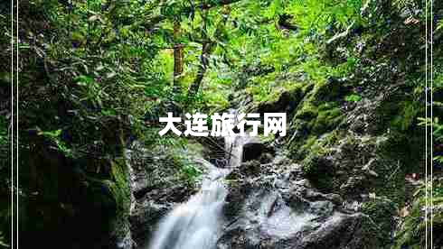 大連旅行網