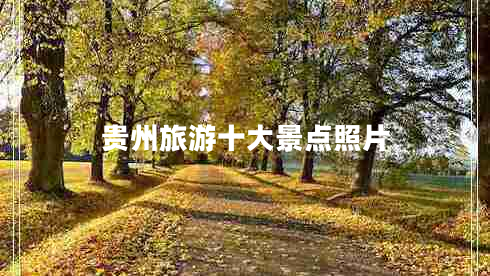 貴州旅游十大景點照片