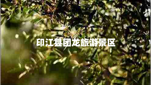 印江縣團(tuán)龍旅游景區(qū)
