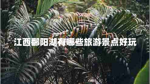 江西鄱陽湖有哪些旅游景點(diǎn)好玩