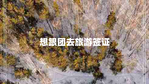 想跟團(tuán)去旅游簽證