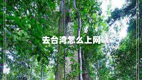 去臺(tái)灣怎么上網(wǎng)