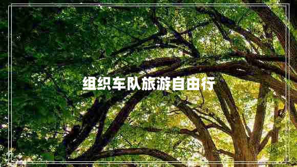 組織車隊旅游自由行