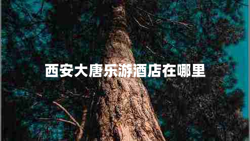 西安大唐樂(lè)游酒店在哪里