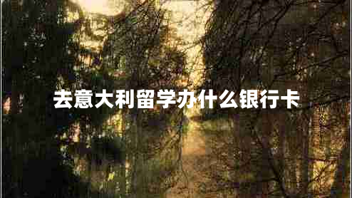 去意大利留學辦什么銀行卡