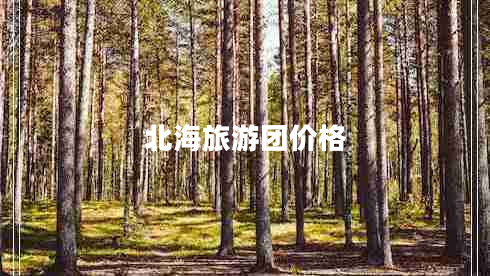 北海旅游團價格
