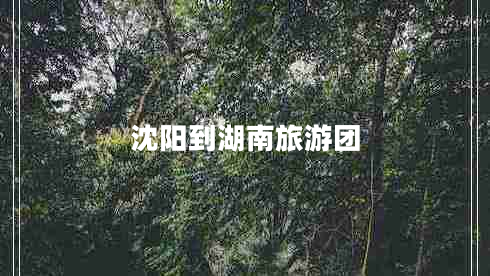 沈陽到湖南旅游團