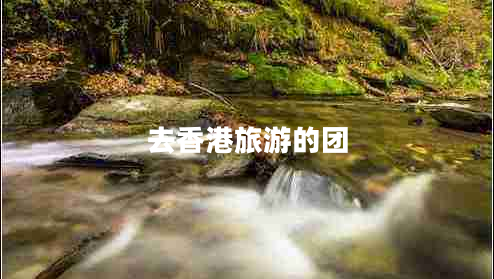 去香港旅游的團