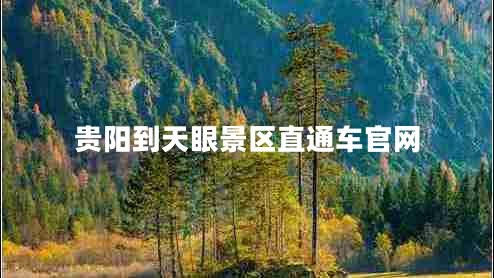 貴陽(yáng)到天眼景區(qū)直通車(chē)官網(wǎng)