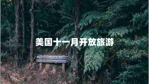 美國(guó)十一月開(kāi)放旅游
