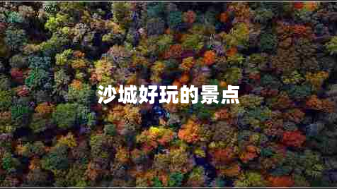 沙城好玩的景點