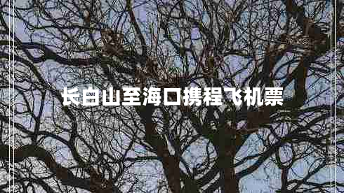 長白山至?？跀y程飛機票