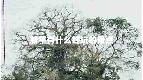 新平有什么好玩的景點(diǎn)