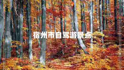 宿州市自駕游景點