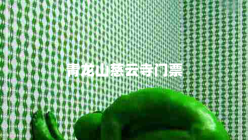 青龍山慈云寺門(mén)票