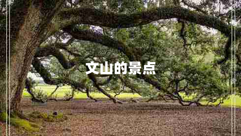 文山的景點