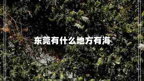 東莞有什么地方有海 東莞有什么地方有海