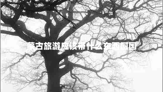 蒙古旅游應(yīng)該帶什么東西回國
