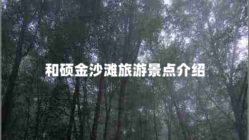 和碩金沙灘旅游景點(diǎn)介紹