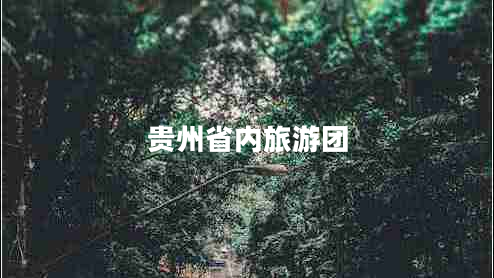 貴州省內(nèi)旅游團(tuán)
