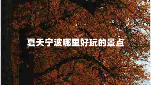 夏天寧波哪里好玩的景點