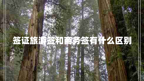 簽證旅游簽和商務簽有什么區(qū)別