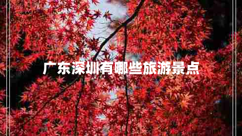 廣東深圳有哪些旅游景點
