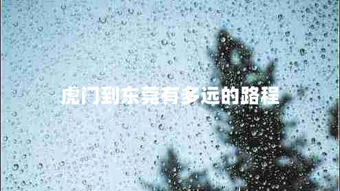 虎門到東莞有多遠的路程