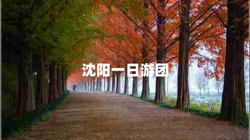沈陽(yáng)一日游團(tuán)