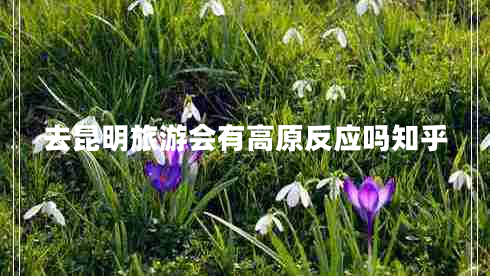 去昆明旅游會有高原反應(yīng)嗎知乎