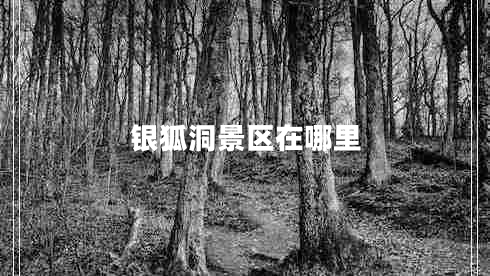 銀狐洞景區(qū)在哪里 銀狐洞景區(qū)在哪里