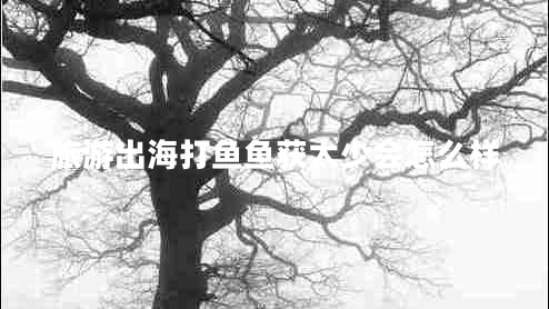 旅游出海打魚魚獲太少會怎么樣