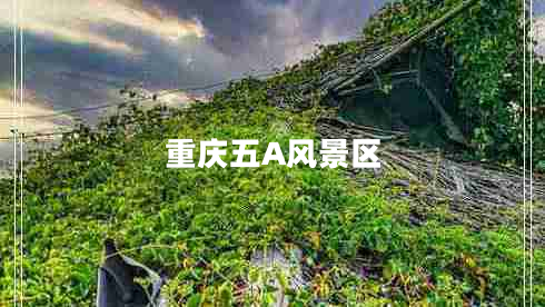 重慶五A風景區(qū)