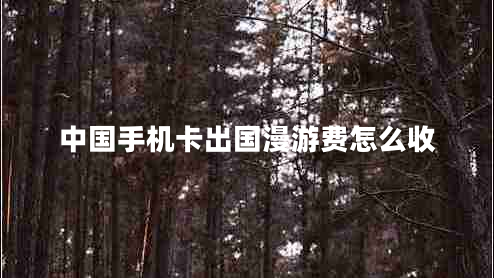 中國(guó)手機(jī)卡出國(guó)漫游費(fèi)怎么收