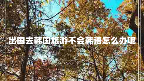 出國去韓國旅游不會韓語怎么辦呢