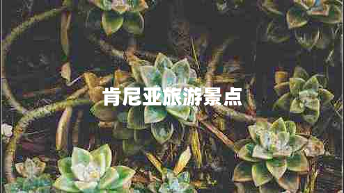 肯尼亞旅游景點