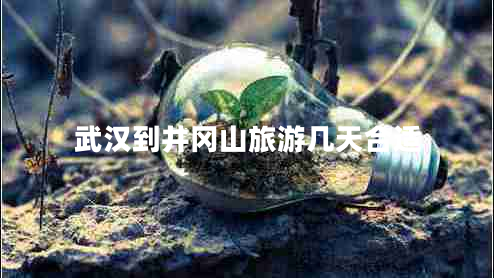 武漢到井岡山旅游幾天合適