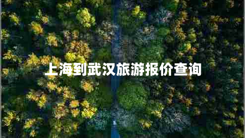 上海到武漢旅游報(bào)價(jià)查詢