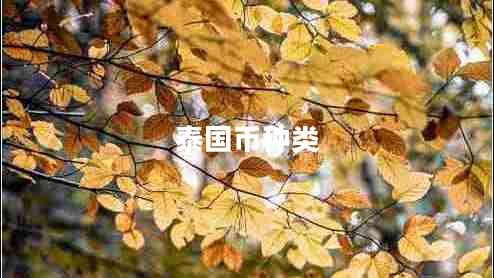 泰國(guó)幣種類 泰國(guó)幣種類