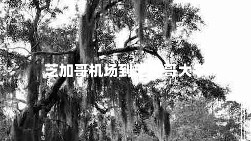 芝加哥機場到芝加哥大學(xué)
