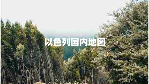 以色列國內(nèi)地圖