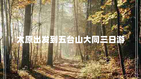 太原出發(fā)到五臺(tái)山大同三日游
