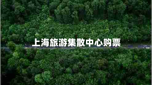 上海旅游集散中心購票 上海旅游集散中心購票