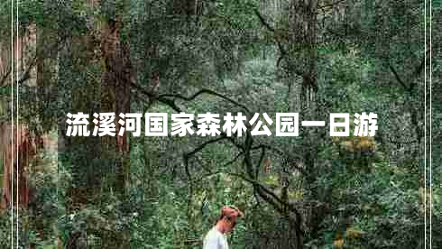 流溪河國(guó)家森林公園一日游