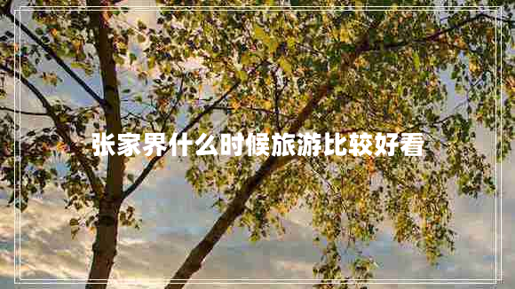 張家界什么時(shí)候旅游比較好看